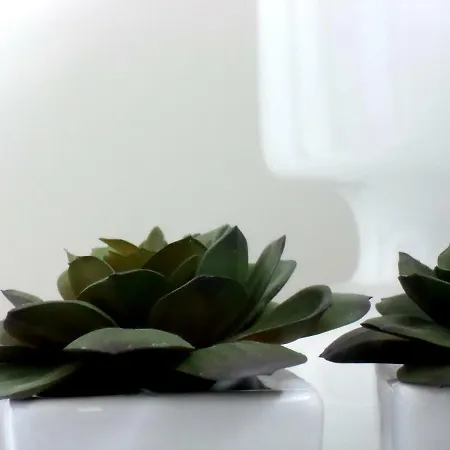 Apartment Baixa - Local Guimaraes