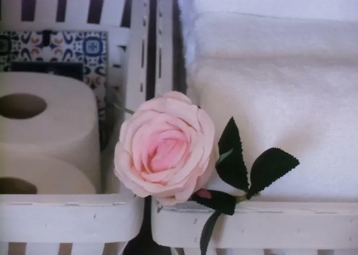 Baixa - Local * 귀마레스