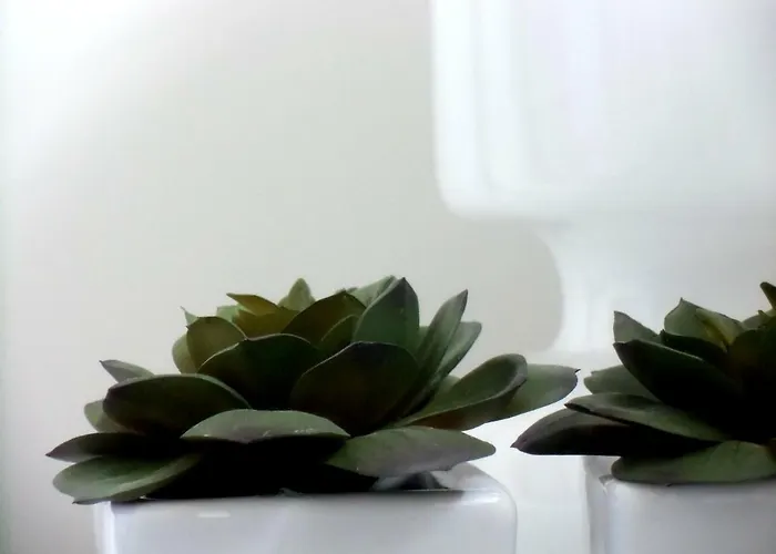 Διαμέρισμα Baixa - Local Γκιμαράες